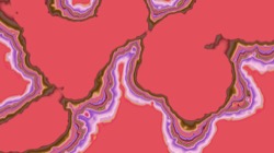 image: image from z2