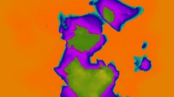 image: image from z2