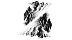 image: image from ztest1