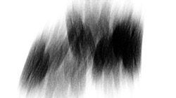 image: image from ztest1