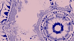 image: image from ztest2