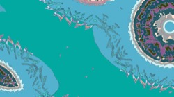 image: image from ztest2