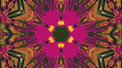 image: image from ztest2