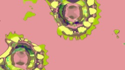 image: image from ztest2