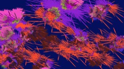 image: image from ztest3