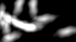 image: image from ztest3