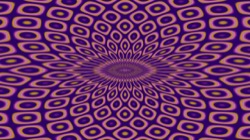 image: image from zzz1