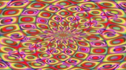 image: image from zzz1