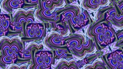 image: image from zzzzzz test cg