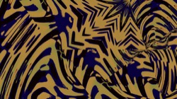 image: image from msg 10