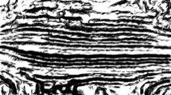 image: image from msg 2