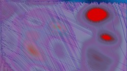 image: image from msg 5