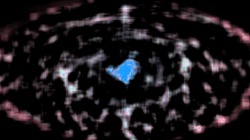 image: image from msg 5