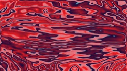 image: image from msg 6