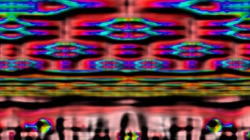 image: image from msg 6