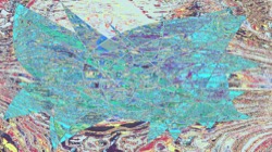 image: image from msg 7