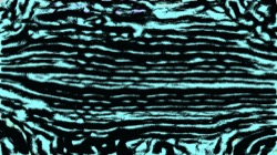 image: image from msg 8