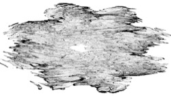 image: zz&nbsp;msg&nbsp;presets&nbsp;new thumbnail