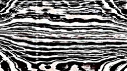 Image: image from adventure set 1