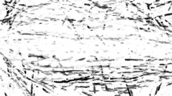 paint :: charcoalrender