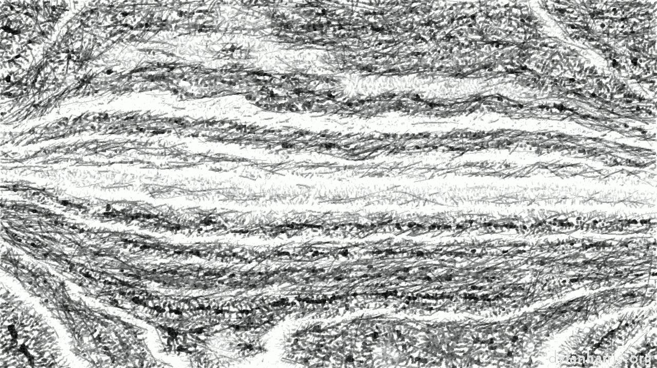 image: pencil sketch :: pencilsketch1