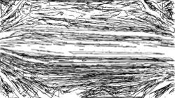 image: image from bw sketch ideas 1