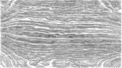 image: image from bw sketch ideas 2