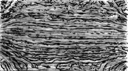 image: image from bw sketch ideas 2