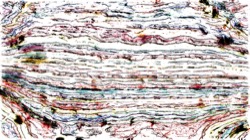 image: image from colour sketch ideas