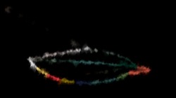 image: image from loop action tests