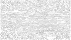 movie procs :: sketch1