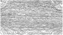 colbert sketch examples :: colbertoutlinesanimsketch2