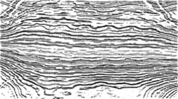 colbert sketch examples :: colbertoutlinesanimsketch5