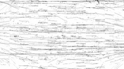 colbert sketch examples :: colbertoutlinesanimsketch6