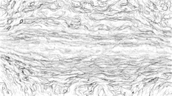 image: image from jdn paseq presets