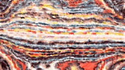 image: image from paint regionise