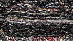 image: image from movie process examples