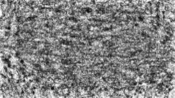 image: image from paint effects