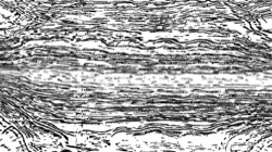 Image: image from src processing