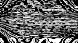 Image: image from src processing