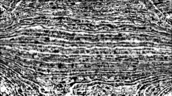 Image: image from src processing