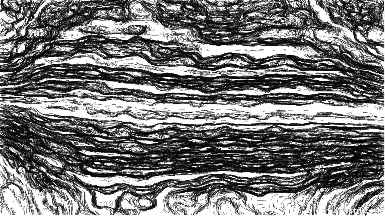 Image: autopaint1 :: bwdetailer1