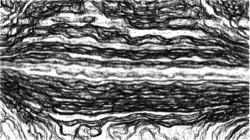 Image: image from autopaint1