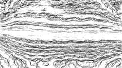 Image: image from autopaint1