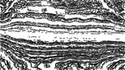 Image: image from autopaint1