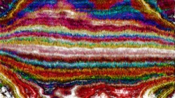 Image: image from autopaint1