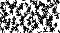 Image: image from branchy filaments