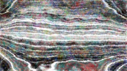 Image: image from branchy filaments