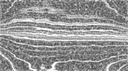 Image: 2.0&nbsp;collection thumbnail