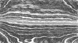 image: image from bw hatch